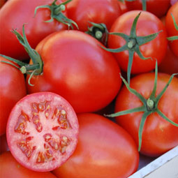 heirloom tomato varieties