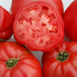 Tomato - German Baptist Heirloom Slicer